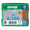 Spax 6x100 мм 0257000601005 (100 шт/упак.) - нержавейка А2, тарельчатая головка T-30