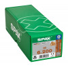 Spax 6x200 мм 0251010602005 (50 шт/упак) EAN 4003530248474